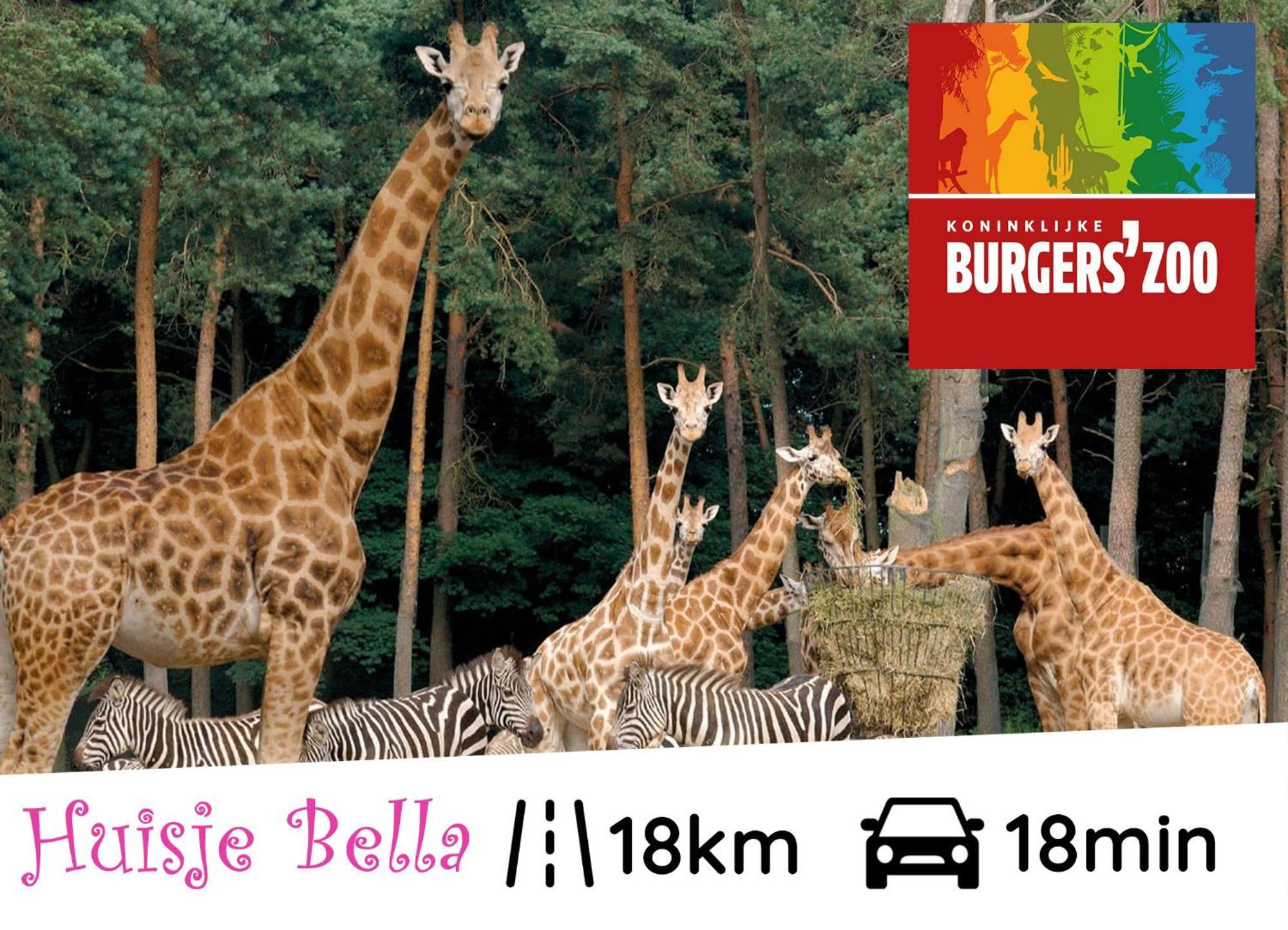Chalet Huisje Bella Op De Veluwe Max 2 Volwassene 비크버겐 외부 사진